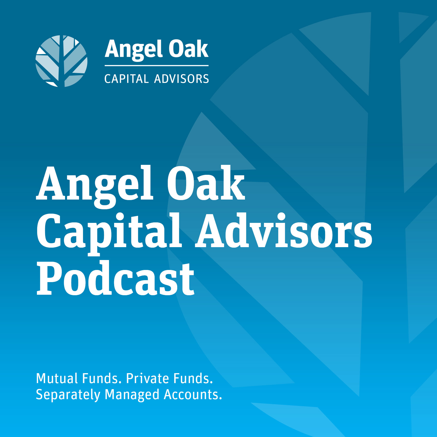 Institutional Archives - Angel Oak Capital Advisors, LLC.